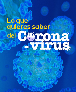 Lo que Quieres Saber del Coronavirus