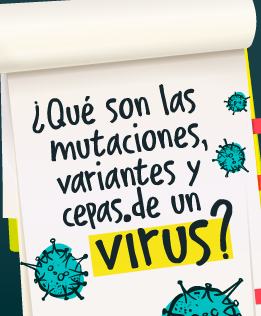 ¿Qué son las &quot;cepas&quot; y las &quot;variantes&quot; de un virus?