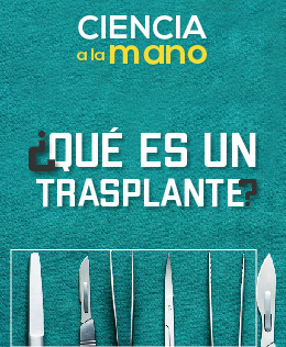 Transplante de órganos