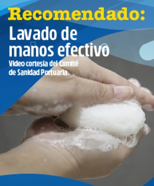 Recomendado: lavado de manos. Comité de sanidad portuaria